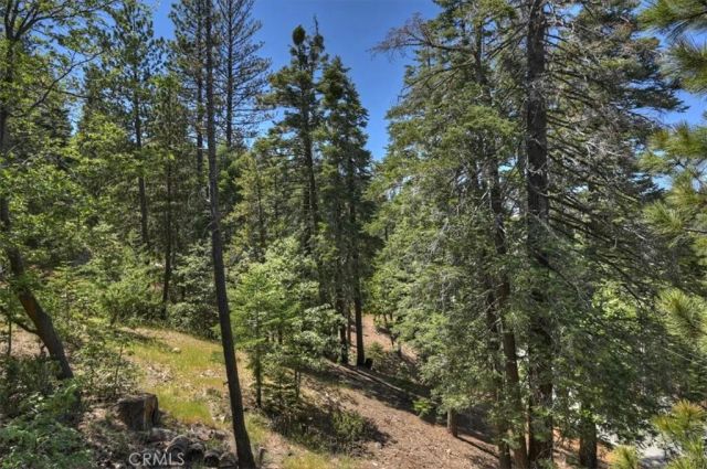 26285 Spyglass Drive, Lake Arrowhead, CA 92352