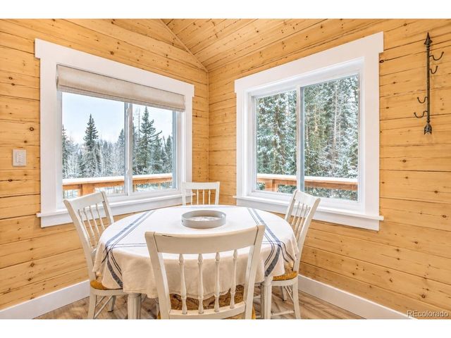 467 Nuthatch Dr, Alma, CO 80420