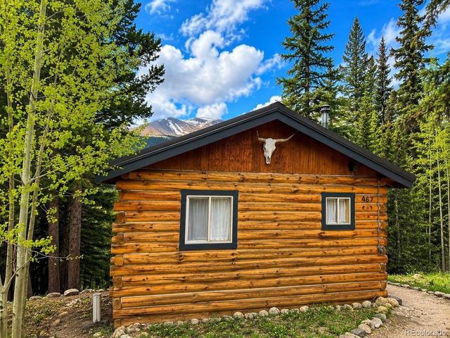 467 Nuthatch Dr, Alma, CO 80420