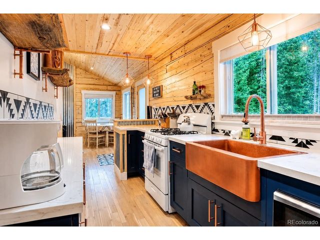 467 Nuthatch Dr, Alma, CO 80420