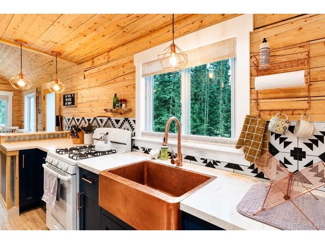 467 Nuthatch Dr, Alma, CO 80420