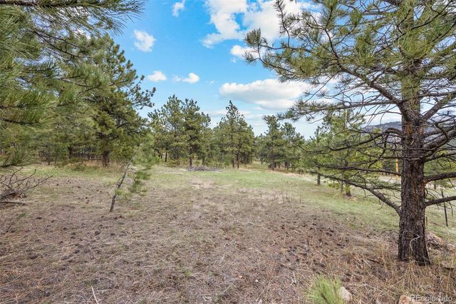 6068 S Skyline Drive, Evergreen, CO 80439