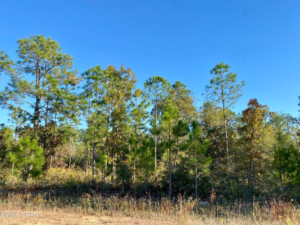 Lot 128 Nezperce Drive, Alford, FL 32420