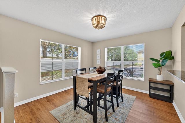 203 PENMARK STONE PLACE, Valrico, FL 33594