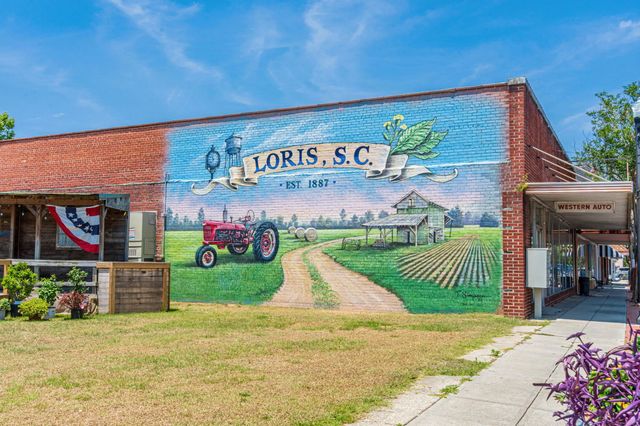 622 Hulls Island Rd., Loris, SC 29569