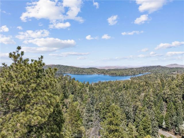 717 Oakmont Lane, Lake Arrowhead, CA 92352