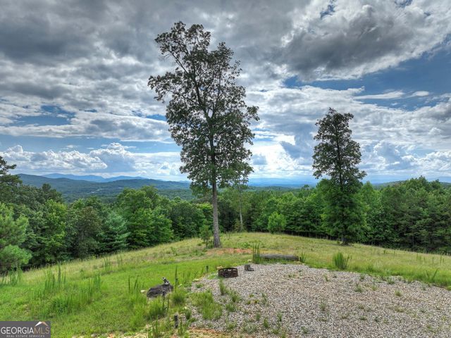 458 Blue Berry Ridge, Morganton, GA 30560