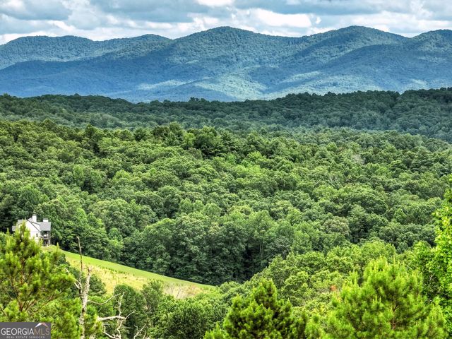 458 Blue Berry Ridge, Morganton, GA 30560