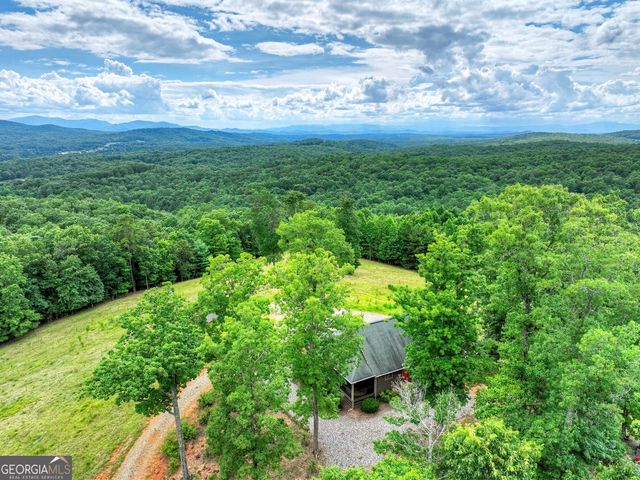 458 Blue Berry Ridge, Morganton, GA 30560