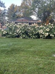 N4231 Lakeview Drive, Markesan, WI 53946