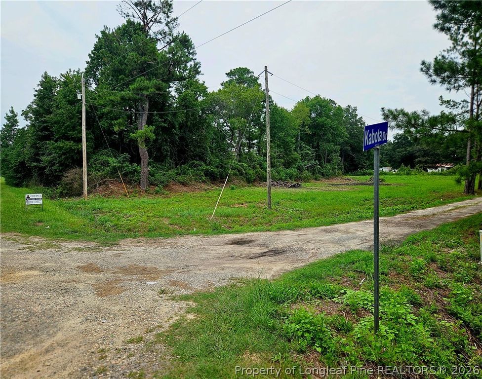 135 Kabota Drive, Red Springs, NC 28377 — photo 4