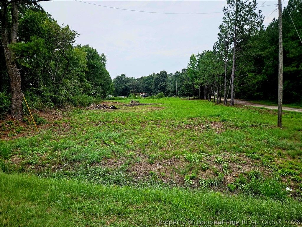 135 Kabota Drive, Red Springs, NC 28377 — photo 5