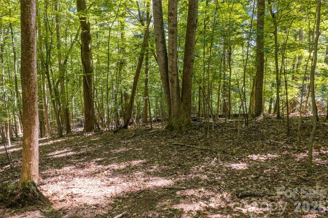 99999 Sabine Drive 2A, Laurel Park, NC 28739