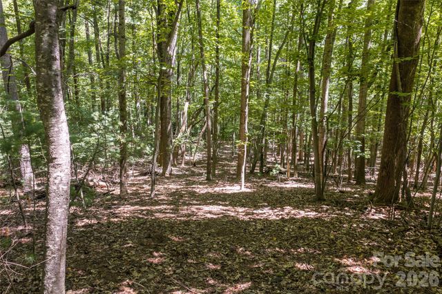 99999 Sabine Drive 2A, Laurel Park, NC 28739