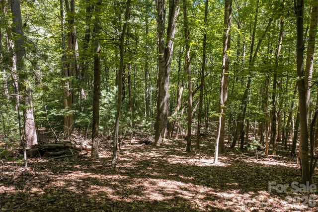 99999 Sabine Drive 2A, Laurel Park, NC 28739