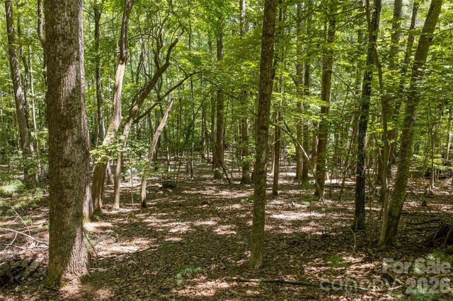 99999 Sabine Drive 2A, Laurel Park, NC 28739