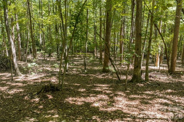 99999 Sabine Drive 2A, Laurel Park, NC 28739