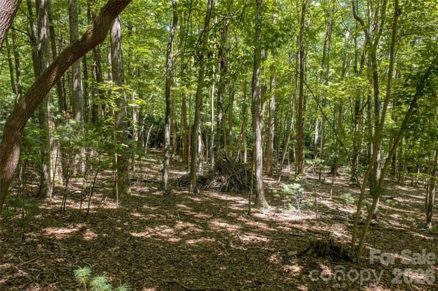 99999 Sabine Drive 2A, Laurel Park, NC 28739