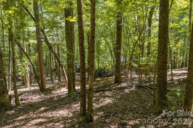 99999 Sabine Drive 2A, Laurel Park, NC 28739