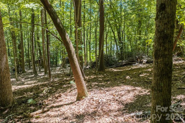 99999 Sabine Drive 2A, Laurel Park, NC 28739