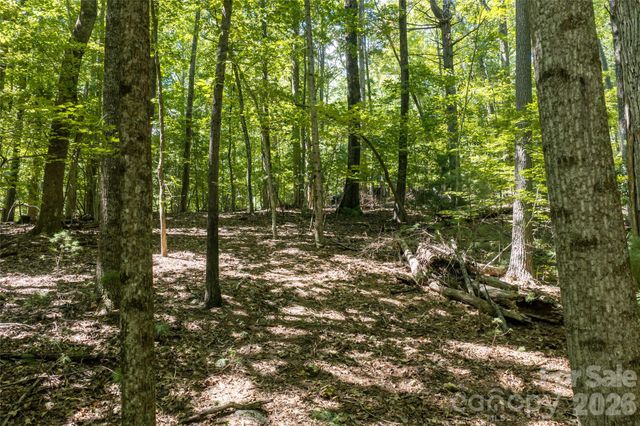 99999 Sabine Drive 2A, Laurel Park, NC 28739