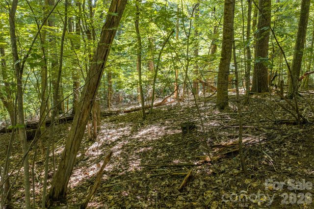 99999 Sabine Drive 2A, Laurel Park, NC 28739