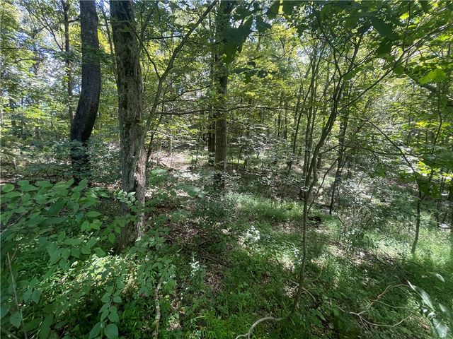 46 Simon Rd, Cheswick, PA 15024