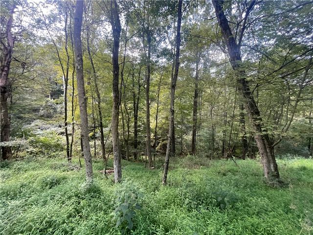 46 Simon Rd, Cheswick, PA 15024