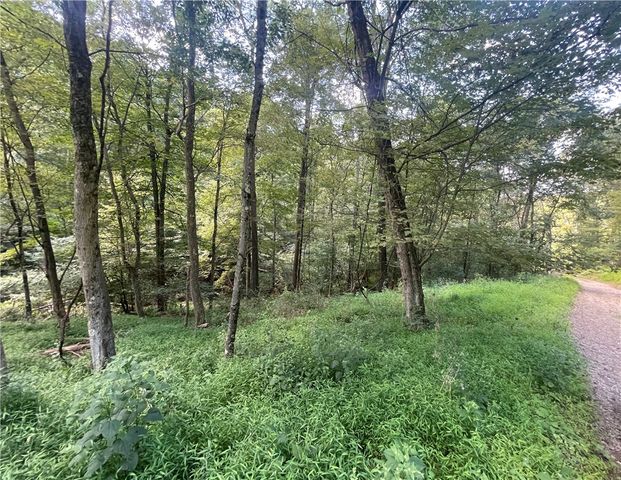 46 Simon Rd, Cheswick, PA 15024