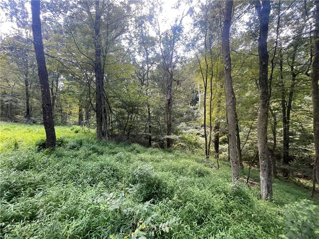 46 Simon Rd, Cheswick, PA 15024