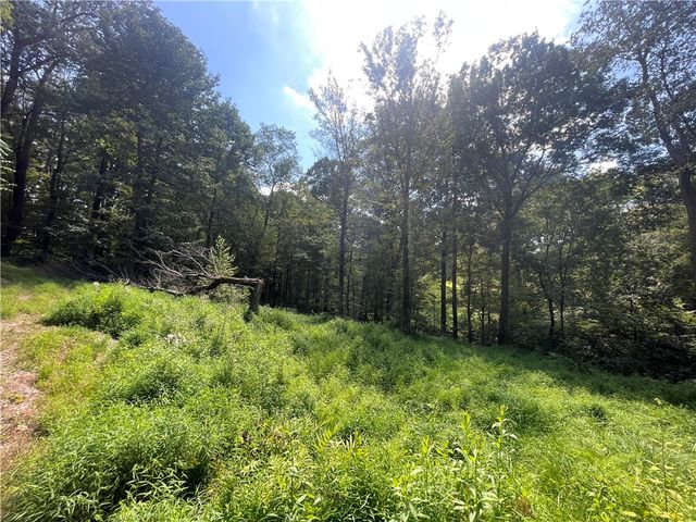 46 Simon Rd, West Deer, PA 15024