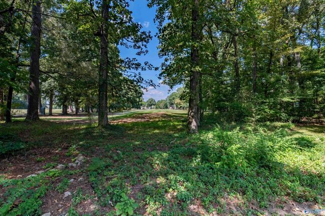 2404 Burningtree Drive SE, Decatur, AL 35603