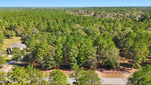 2020 White Buck Court, Cleveland, TX 77328