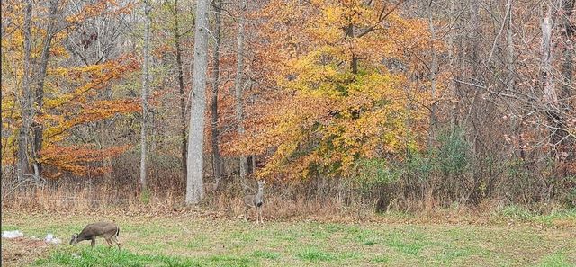 2949 Lancelot Ln, Clarksville, TN 37040