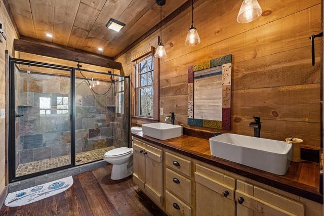 351 Toccoa Preserve Lane, Blue Ridge, GA 30513