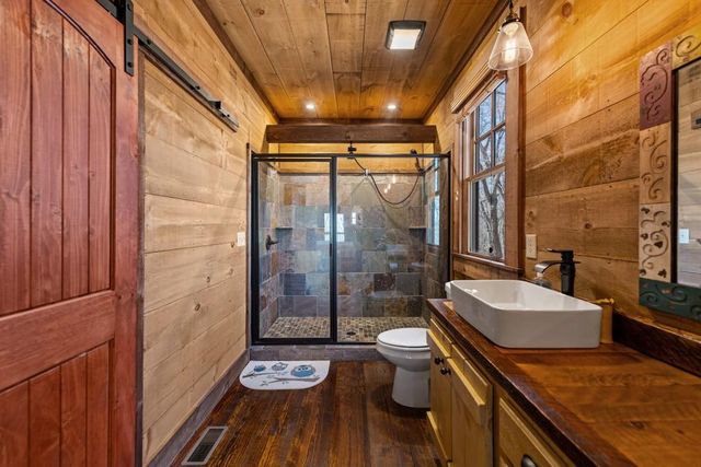 351 Toccoa Preserve Lane, Blue Ridge, GA 30513