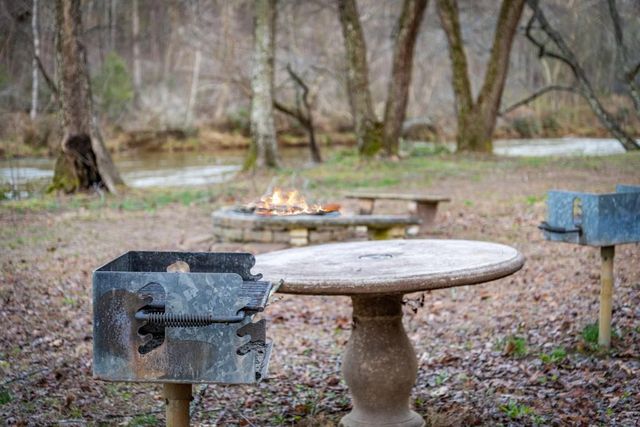 351 Toccoa Preserve Lane, Blue Ridge, GA 30513