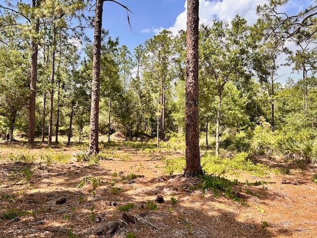 1116 Belmonte Drive, Indian Lake Estates, FL 33855