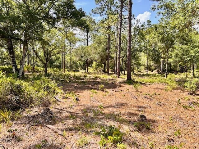 1116 Belmonte Drive, Indian Lake Estates, FL 33855