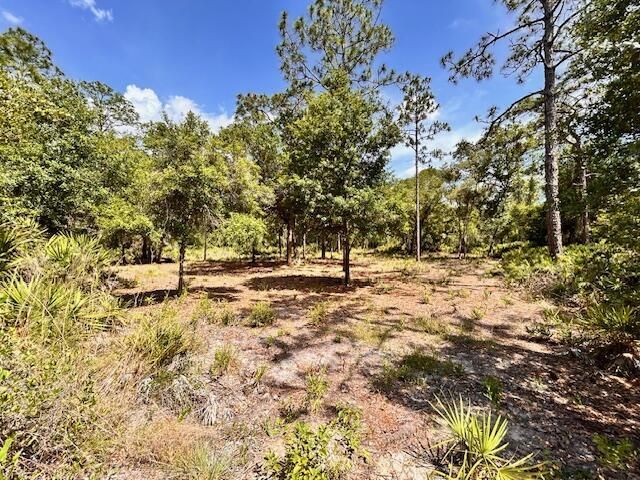 1116 Belmonte Drive, Indian Lake Estates, FL 33855