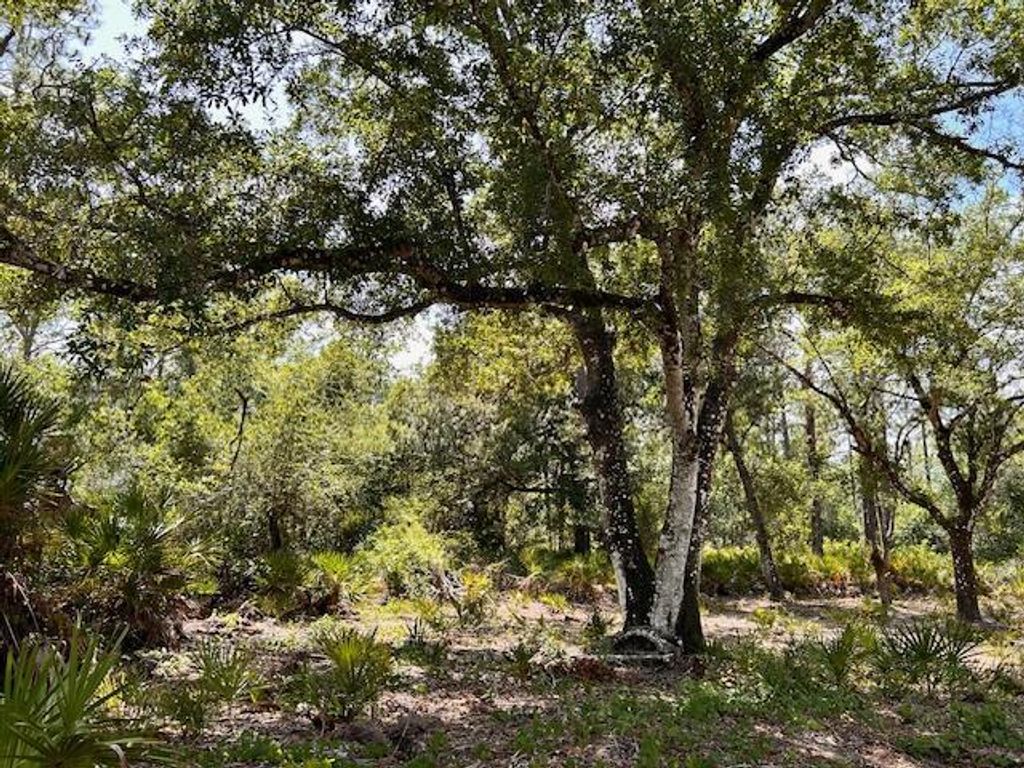 1116 Belmonte Drive, Indian Lake Estates, FL 33855