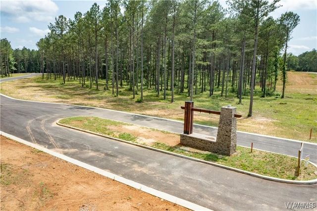 Lot 15 Stormi, Berry, AL 35546