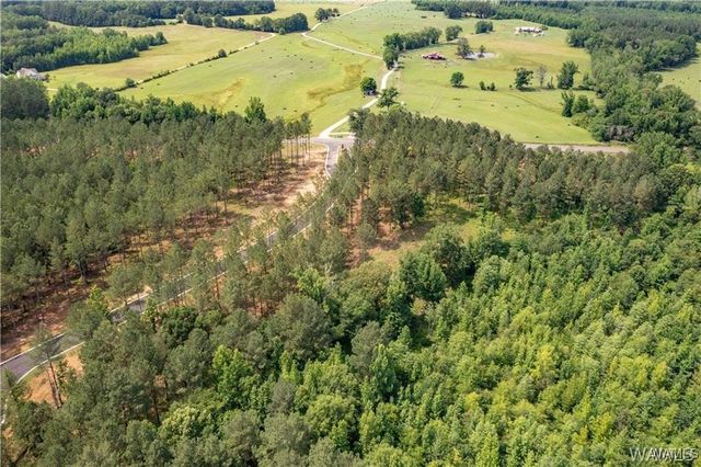 Lot 15 Stormi, Berry, AL 35546