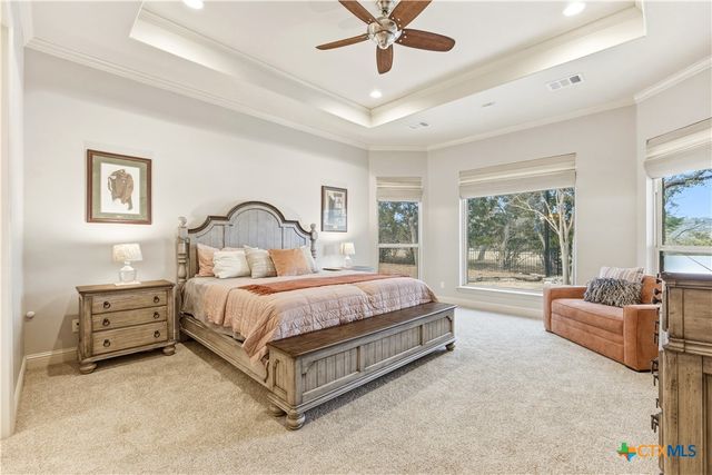 115 E Eli Chandler, Blanco, TX 78606