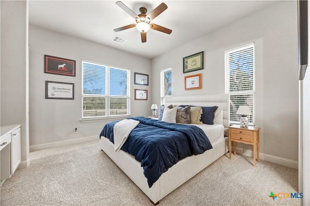 115 E Eli Chandler, Blanco, TX 78606