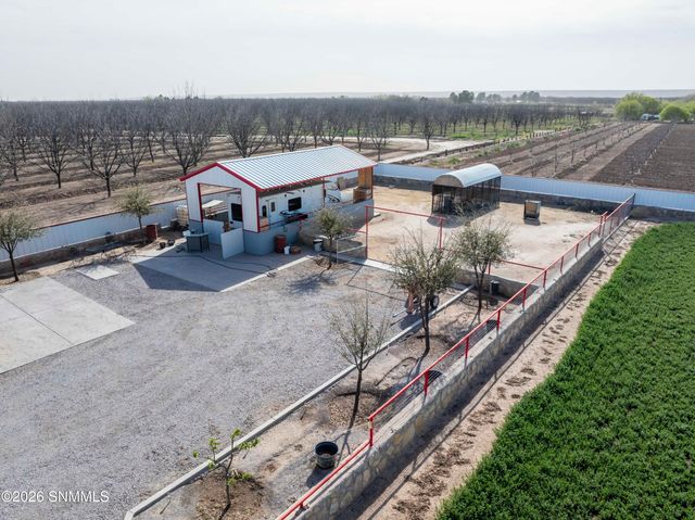 1405 Webb Road, Anthony, NM 88021