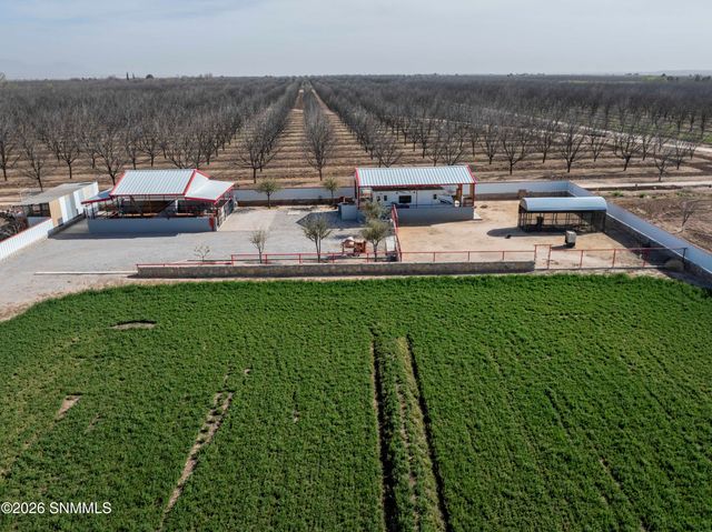 1405 Webb Road, Anthony, NM 88021