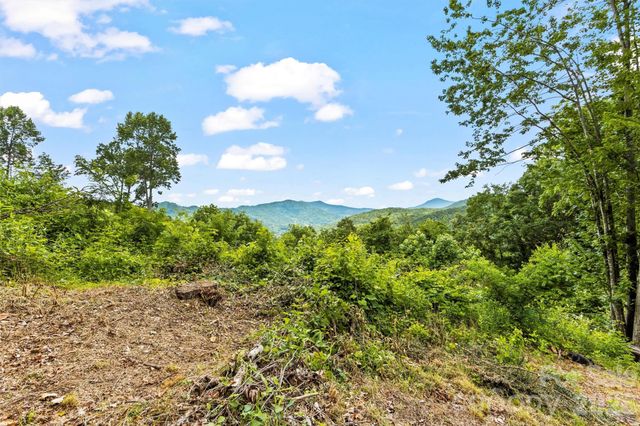 553 Paradise Mountain Road, Canton, NC 28716