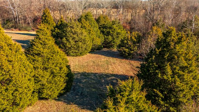 5563 Stacy Springs Rd, Springfield, TN 37172