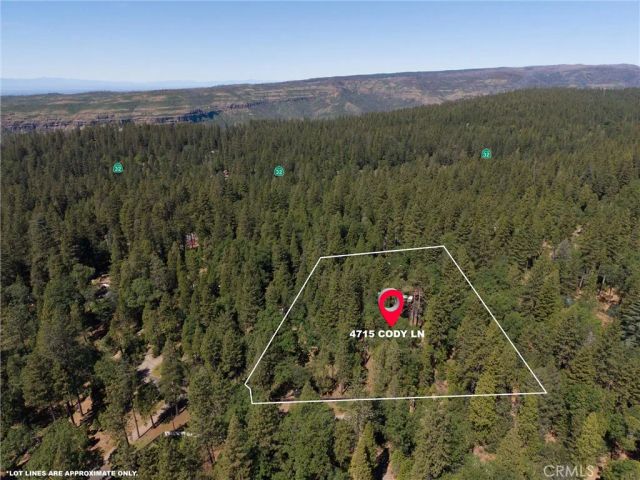4715 Cody Lane, Forest Ranch, CA 95942
